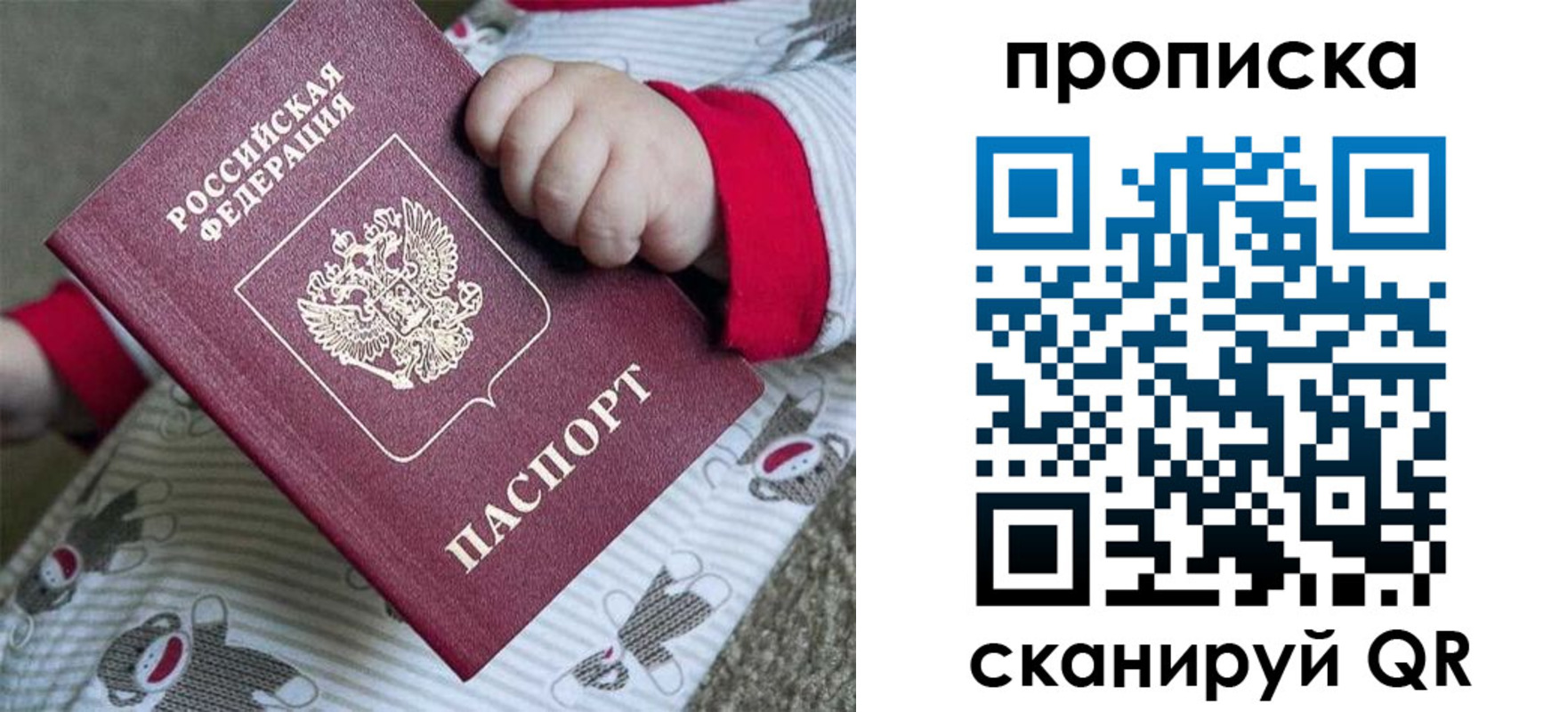 прописка 2025 в Ногинске